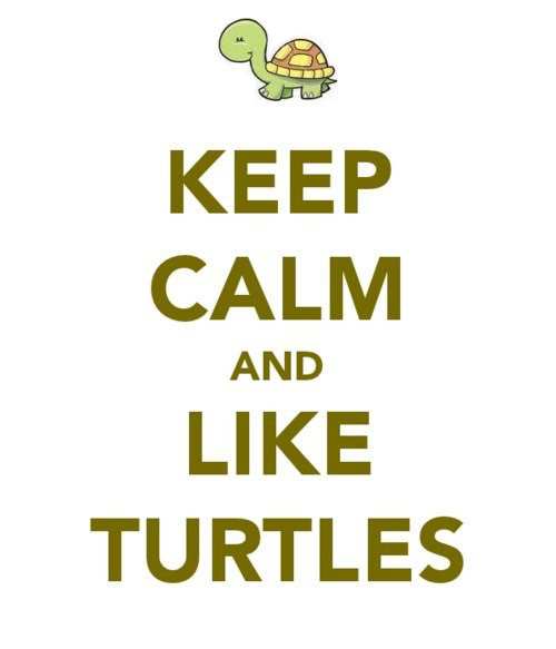 like turtles