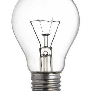 Что такое лампа накаливания? Как контролировать температуру в террариуме?