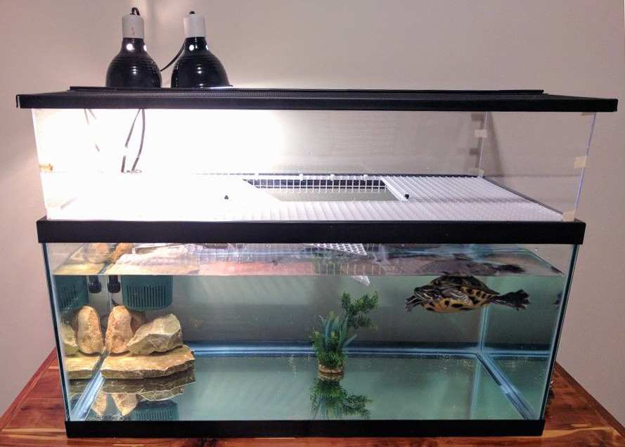 Пример расположения ламп в аквариуме водоплавающей черепахи