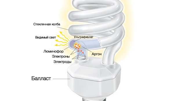 Принцип работы УФ лампы для рептилий. Почему ультрафиолет для рептилий может излучаться только в люминесцентных лампах?