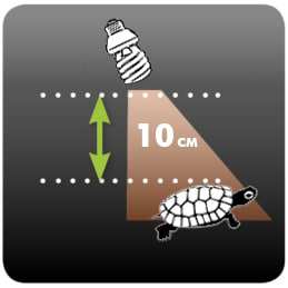 Выбор и использование ультрафиолетовой лампы для черепах: советы для аквариумов и террариумов с красноухими и сухопутными черепахами
