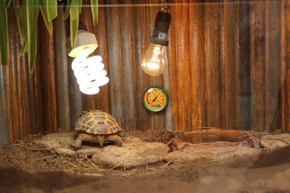 УФ лампа для черепахи