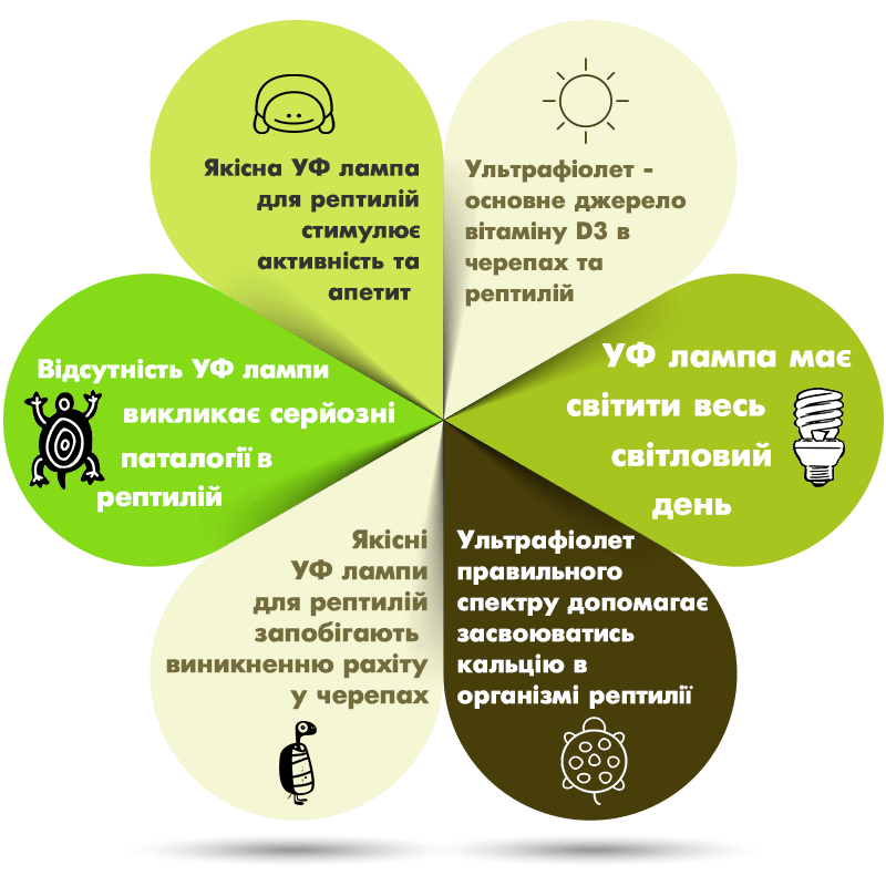 uv-infograp-ukr-min