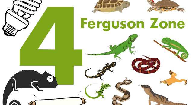 4 зони Фергюсона. З якою інтенсивністю черепахи та інші рептилії одержують УФ-випромінювання?