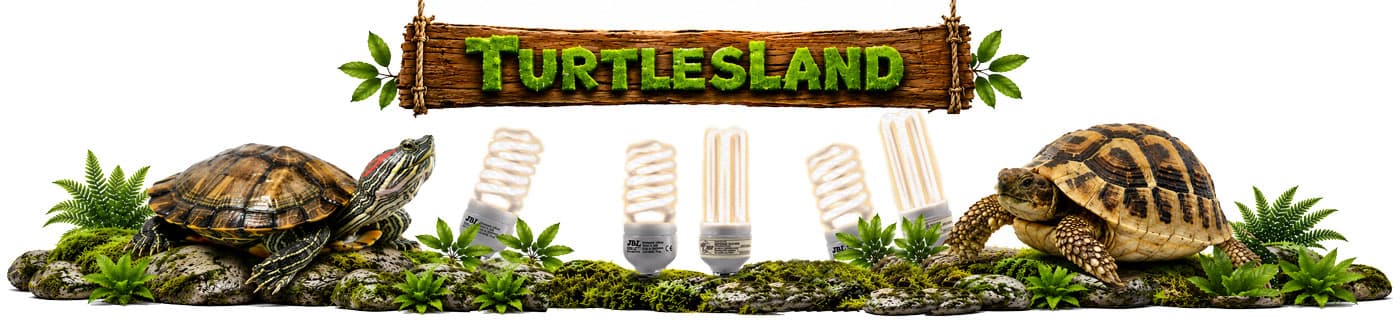 TurtlesLand
