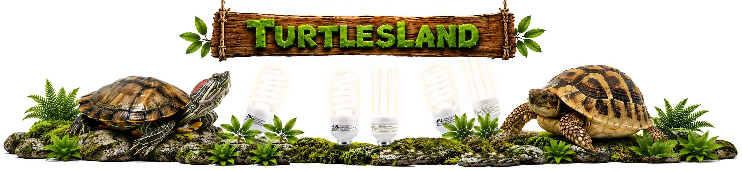 TurtlesLand